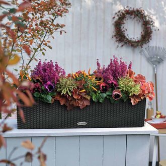 Lechuza Jardiniere - Balconera Cottage 80 - Kit Complet - Granit - 12l - Lechuza
