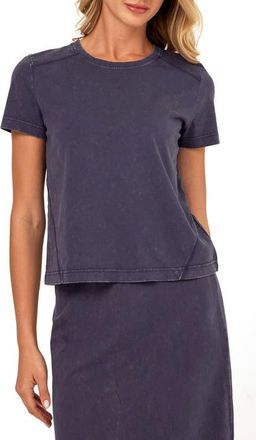 Threads 4 Thought Roselie Mineral Wash Cotton T-Shirt in Stargazer at Nordstrom, Size X-Large