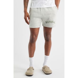 Museum of Peace and Quiet Arch Pigment Dyed Quarter Zip Graphic Sweat Shorts in Ash at Nordstrom Rack, Size X-Large