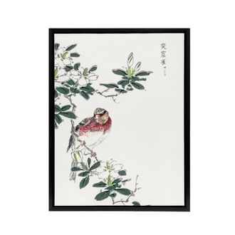 Artery8 Long Tailed Rosefinch Japanese Framed Canvas Wall Art Print Numata Kashu | Size: W24 x H32