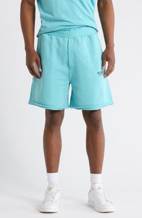 Helmut Lang Postcard Pocket Cotton Shorts in Teal at Nordstrom Rack, Size X-Small