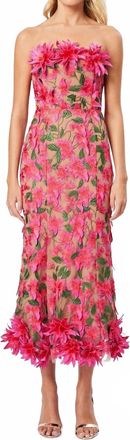 Elliatt Valentina Midi Dress In Pink