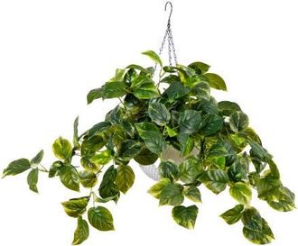 Nearly Natural 24-inUV Resistant Artificial Pothos with 50 Warm White LED Lights in White Hanging Basket in Green at Nordstrom