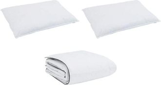 vidaXL Edred&oacute;n De Invierno Con Almohada 3 Pcs Pluma De Pato Vidaxl