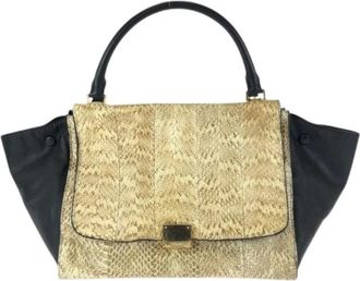 Celine Pre-owned Handbags, female, Multicolor, Size: ONE SIZE Pre-owned Trapeze Python Handbag