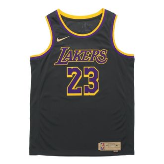 Nike NBA LeBron James Los Angeles Lakers 2020/21 Fan Edition Jersey 23 CN9929-013