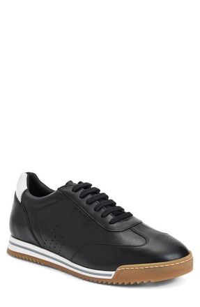 Bruno Magli Brozzi Low Top Leather Sneaker in Black Calf at Nordstrom, Size 11.5