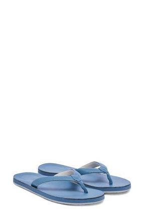 Hari Mari The Clipper Waterproof Flip Flop in Skylark at Nordstrom Rack, Size 11