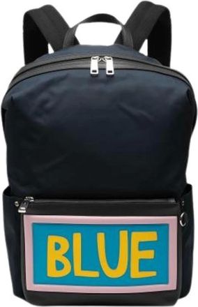Fendi Pre-owned Backpacks, female, Blue, Size: ONE SIZE Pre-owned Vocabulary Backpack