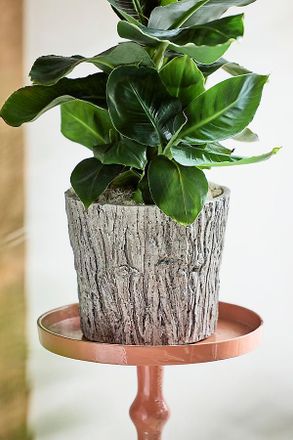 Terrain Faux Bois Taper Planter