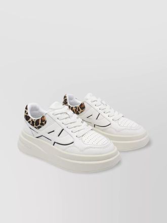 Ash low top sneakers leopard print