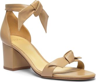 Alexandre Birman Clarita Block Heel Sandal in Beige at Nordstrom, Size 6.5