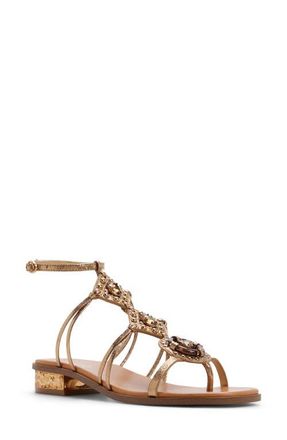 Aldo Sandjewel Cage Sandal in Gold at Nordstrom, Size 6.5