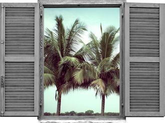 Queence Wandtattoo »Palmen« Wandsticker, Wandbild, selbstklebend, 3D, Fenster