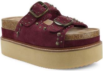 Zigi Soho Studded Platform Sandal in Wine Suede at Nordstrom, Size 10