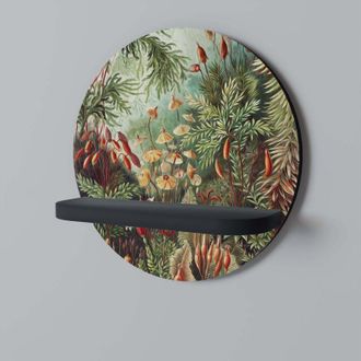 OEM Muscinae Laubmoose Estante Redondo Negro