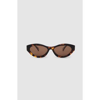 Anine Bing Nice Sunglasses in Dark Tortoise at Nordstrom
