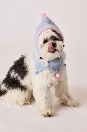 Anthropologie Hat & Bandana Pet Set