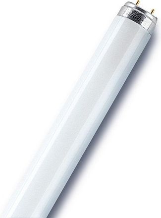 Osram Tubo Fluorescente Recto T8 Opaco 2400 Lm 30 W Blanco