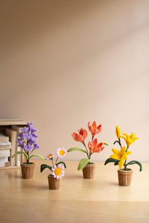 Kalalou Set Of Four Potted Pipe Cleaner Botanica
