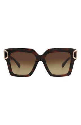 Valentino 50mm Polarized Square Sunglasses in Brown Brown Brown at Nordstrom Rack