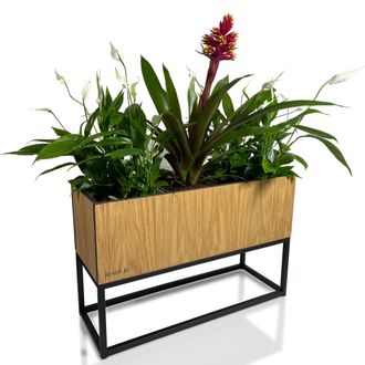 OEM Soporte Para Flores Fiorino De Roble Para Desv&aacute;n, 62 X 22 X 40 Cm