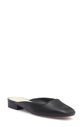Franco Sarto Dayla Mule in Black at Nordstrom, Size 7