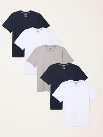 Fat Face FatFace 5 Pack Short Sleeve T-Shirts in White