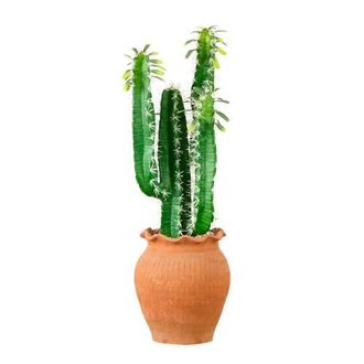 Nearly Natural 28-in Artificial Cactus in Terracotta Planter in Green at Nordstrom