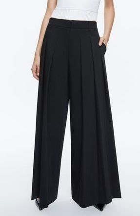 Alice & Olivia Blaire Pleated High Waist Wide Leg Pants in Black at Nordstrom Rack, Size 8