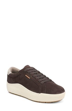 Dr. Scholls Take Time Platform Sneaker in Walnut Brown at Nordstrom, Size 6.5