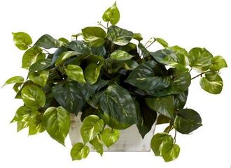 Nearly Natural Pothos with White Wash Planter Artificial Plant in Green at Nordstrom