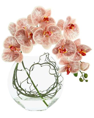 Creative Displays Inc. Pink Orchid Floral Arrangement