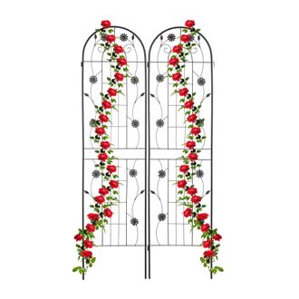 Relaxdays Relaxdays Soportes Para Plantas, Set De 2, 200 X 50 Cm, Metal, Enrejado Para Trepadoras, Aut&oacute;nomos, Con Estacas, Negro