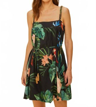 Farm Rio Midnight Macaw Fiesta Mini Dress In Black