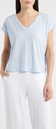 Eileen Fisher V-Neck Boxy T-Shirt in Airy Blue at Nordstrom, Size X-Small