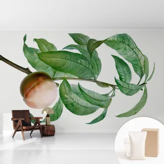 Tulup Tapete Vliestapete Mit Kleber - Abwaschbar - Tapete Mit Motiv - Trendige Wanddeko - Elegant Fototapete Reifer Pfirsich 416x254 Cm