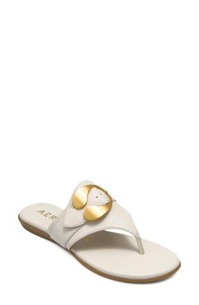 Aerosoles Glam Flip Flop in Eggnog Fx Nappa at Nordstrom, Size 8.5