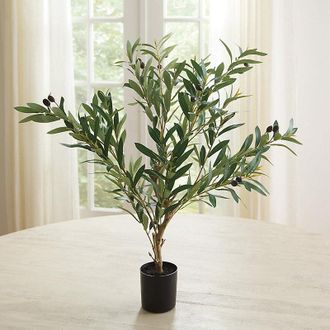 Ballard Designs Faux Small Olive Leaf Tree - Ballard Designs