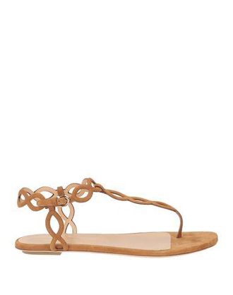 Sergio Rossi FOOTWEAR - Thong sandals on YOOX.COM