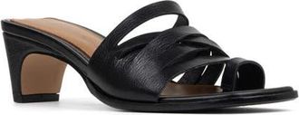 Donald J Pliner Dayvi Toe Loop Sandal in Black at Nordstrom, Size 7.5