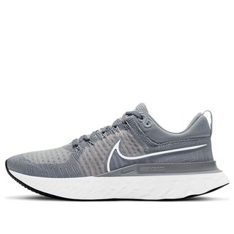Nike React Infinity Run Flyknit 2 Particle Grey CT2357-001