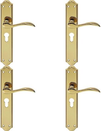 Loops 4x PAIR Curved Handle on Long Euro Lock Backplate 245 x 45mm Stainless Brass