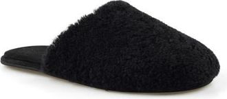 Artisan by Zigi Essexx Slipper in Black at Nordstrom, Size 11