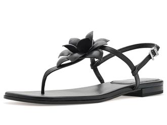 Michael Kors Jacie Thong Sandals Womens Sandals Black : 7.5 M, Leather