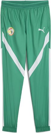 Puma Pantaloni pre-partita Senegal 2025 da uomo, Accessori, Verde, L