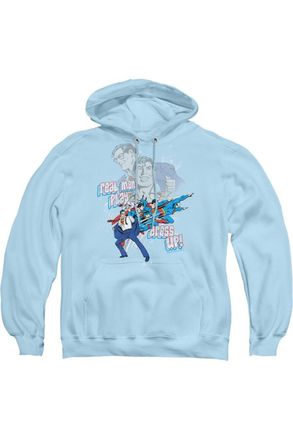 Gildan DC Comics Real Men Adult Pull Over Hoodie / Hooded Sweatshirt