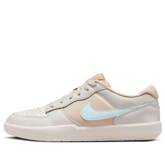 Nike SB Force 58 Premium Light Bone Glacier Blue DV5476-003