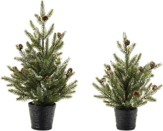 Melrose International Potted Mini Pine Tree (Set of 2) - Green, Black
