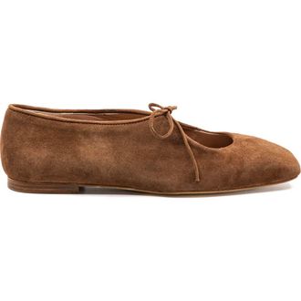 Andrea Gomez Amelia Suede Ballerina Flat in Brown at Nordstrom, Size 38.5